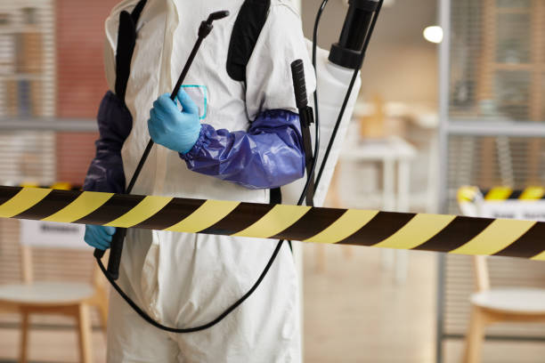 Professional Sewage Cleanup technician working in Union, NH